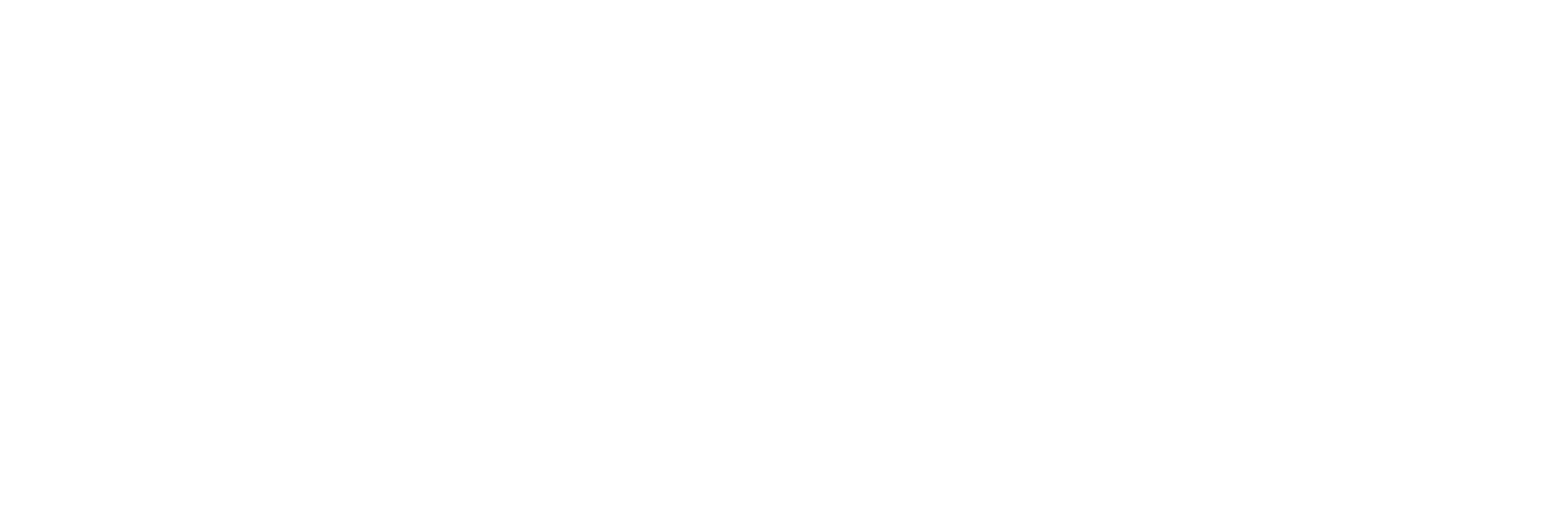 ENVNIX envnix logo white - creative agency branding